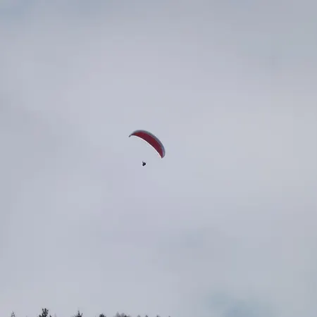 Cubamia Romano D'Ezzelino