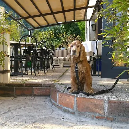 Cubamia فندق Romano D'Ezzelino