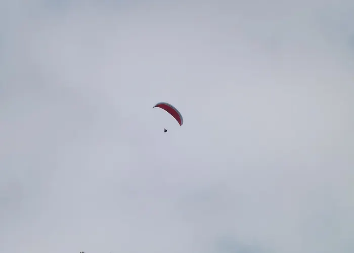 Cubamia Romano D'Ezzelino