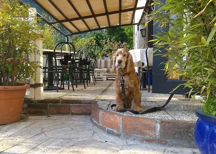 Cubamia Szálloda Romano D'Ezzelino